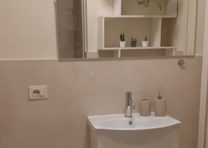 Private bathroom in the room with large shower and equipped with all sanitary fixtures