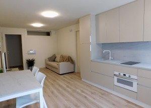 Zona giorno con cucina attrezzata, tavolo da pranzo, divano e smart tv - Loft 3