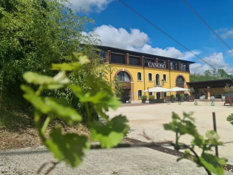 canoso enoteca