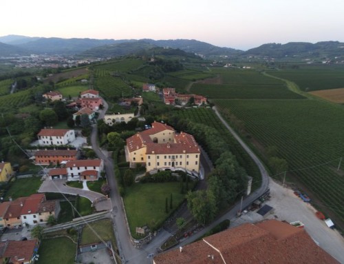 Aerial view of Contrada Mason