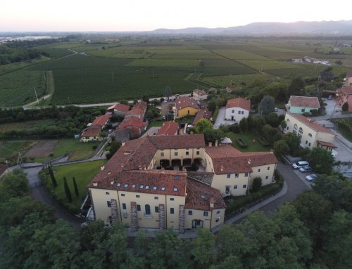 Aerial view of Residence and vineyards