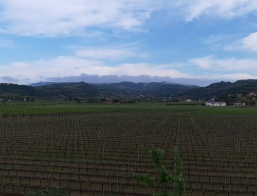 The cycle path from Montebello to Chiampo