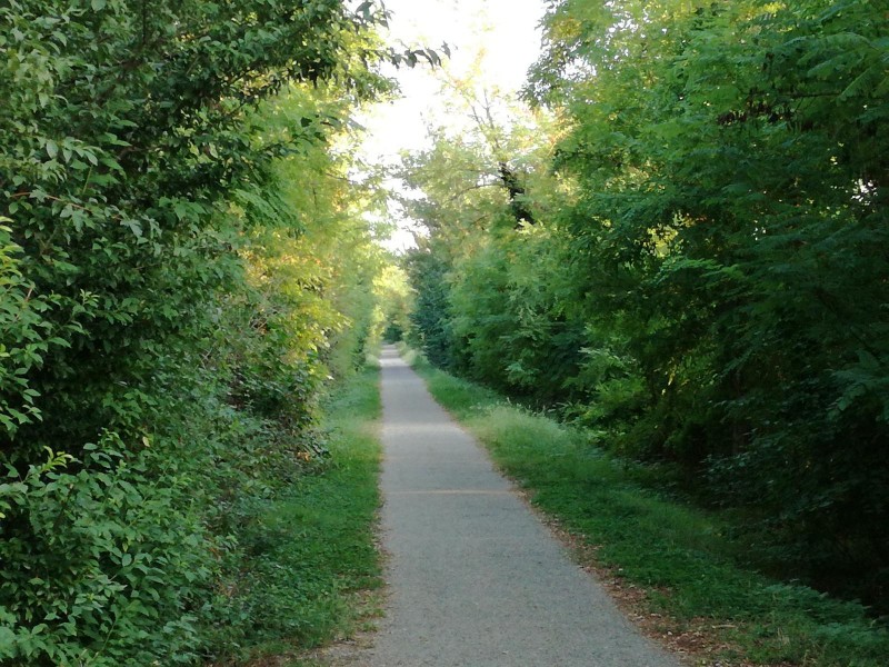 long Chiampo embankment